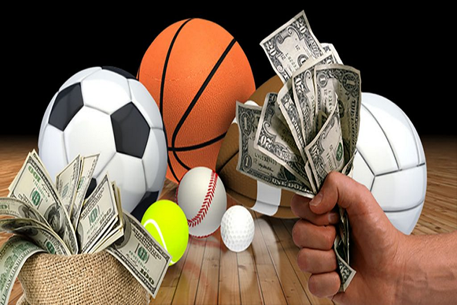 Want To Gamble In Sports To Earn Money Out Of It?