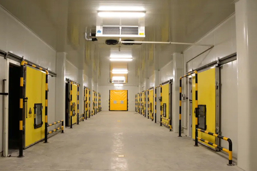 Expert Pharmaceutical Cold Storage Construction In China Solutions
